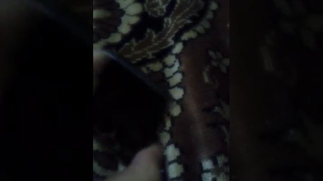 Обзор на плэер фирмы explay смотреть онлайн