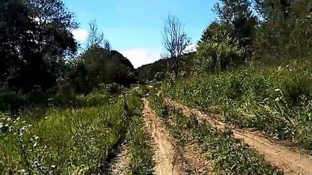 Прогулка от деревни Дракино вдоль поймы реки Протвы до города Протвино, июль 2017г. смотреть онлайн