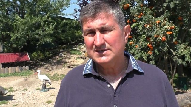 Луговая чернохвостая собачка смотреть онлайн