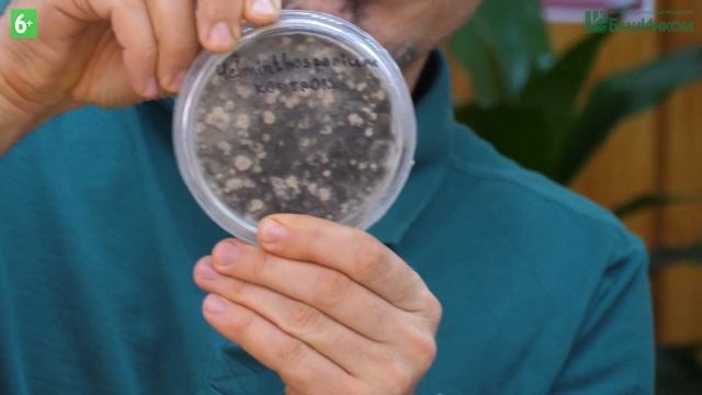 Октябрина Ганичкина в БашИнкоме смотреть онлайн