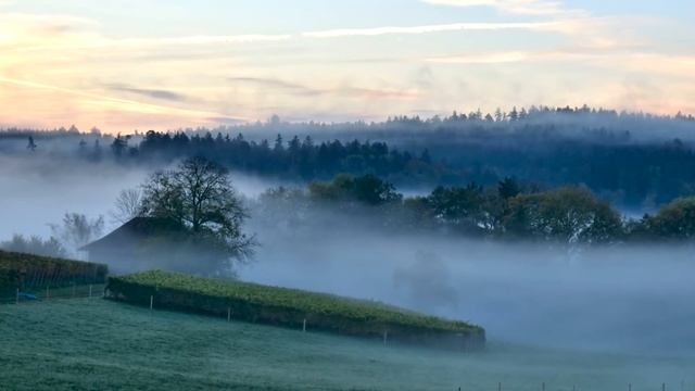 Для чего был создан ШАЙТАН? смотреть онлайн