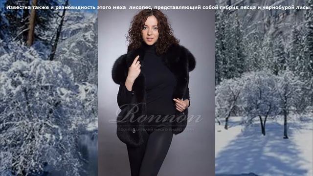 Жилет короткий песец чёрный смотреть онлайн