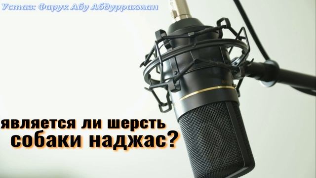 ЯВЛЯЕТСЯ ЛИ ШЕРСТЬ СОБАКИ НАДЖАС? смотреть онлайн