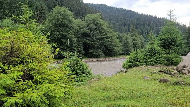 Шум реки, Карпаты #шумреки / Relaxing River Sounds, Carpathians #RelaxingSounds смотреть онлайн