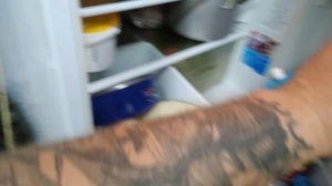 Как правильно Хранить срезанные Листья Алоэ