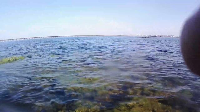 Подводная охота.Остров Артём.