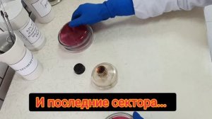 СМЫВЫ НА БГКП, санитарный контроль