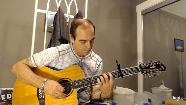 12 String Hagstrom easy playing смотреть онлайн