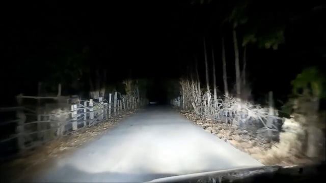 LED H7 12000lm convert to D2s смотреть онлайн