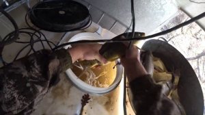 #10 ЗАРЫБЛЯЕМ СВОЙ НОВЫЙ ПРУД КАРПОМ! Ловим и покупаем 400кг карпа под РАЗВЕДЕНИЕ