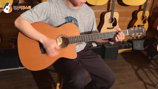 [콜트기타] 콜트 Flow-OC 기타 리뷰 (Cort Flow-OC Guitar Review) смотреть онлайн