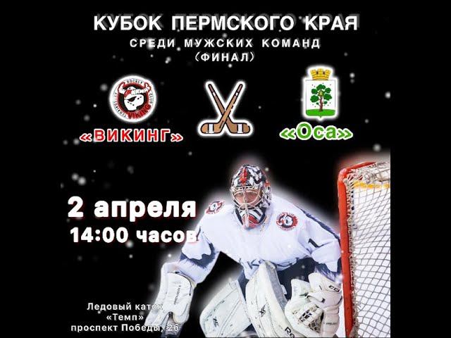 02.04.2023 14-00 ВИКИНГ г. Чайковский & ОСА г. Оса. Финал кубка Пермского края смотреть онлайн