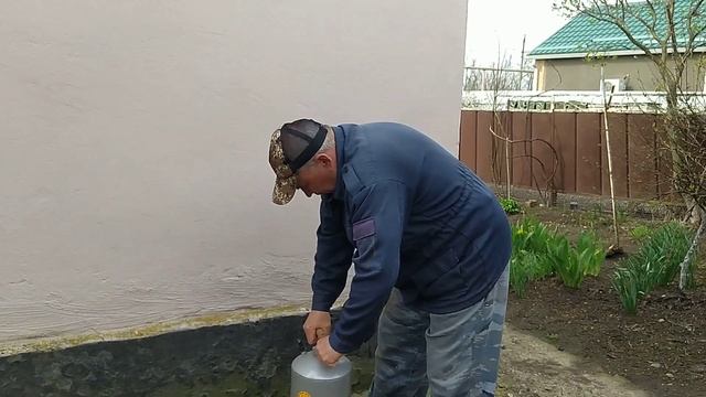 Опрыскивание деревьев весной: персик, яблони, груши, чернослив