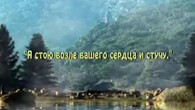 интер. с Богом.flv смотреть онлайн