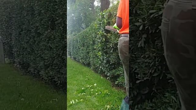 Do You Even Hedge Trim? #lawncare #greenworks смотреть онлайн