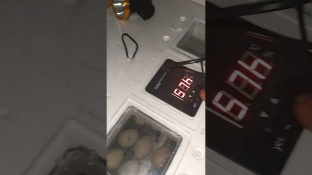 Инкубатор Несушка би 1 би2 на 77 яйц не достатьки нужны советы