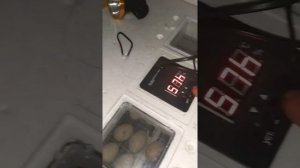 Инкубатор Несушка би 1 би2 на 77 яйц не достатьки нужны советы