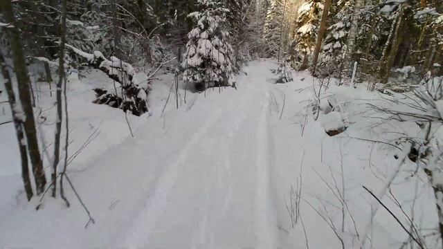 Поездка на озеро Дроздовское на снегоходе Arctic Cat 570 XT. смотреть онлайн