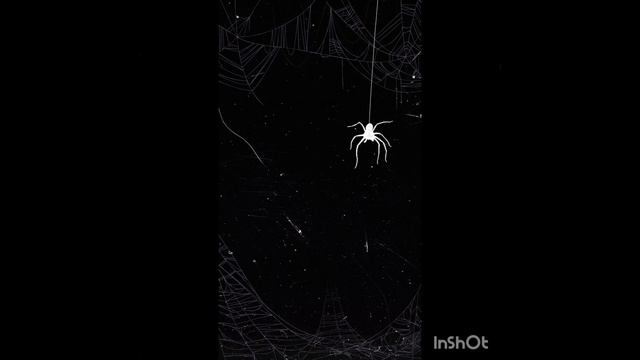 Sugar Rush,моя первая песня