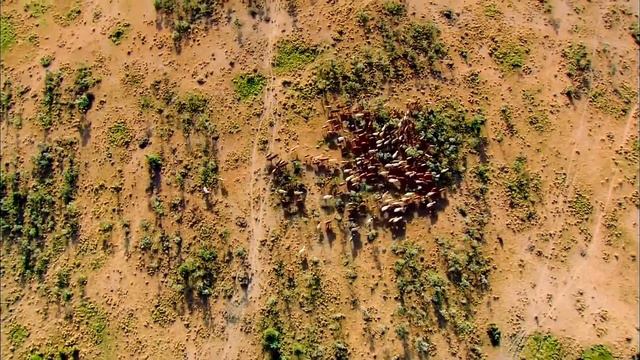 Discover Africa (Orchestral World Music) by Miro Marsik смотреть онлайн