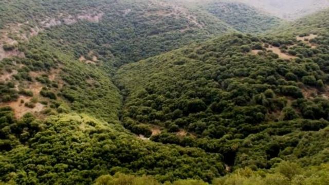 Сердечный шлю я вам привет...