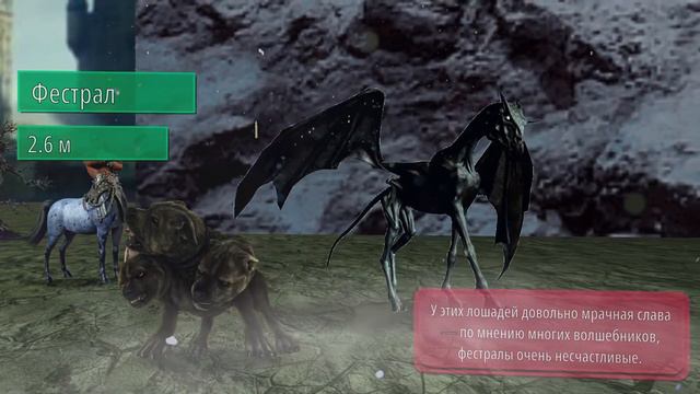 Гарри Поттер - сравнение размеров существ смотреть онлайн