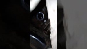 Фолцваген пассат Б5+ привод сальнигін ауыстыру. Замена сальника привода