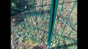 Самодельный, дешёвый крепеж к заборным секциями 3D Gitter.Просто, быстро, эффективно!