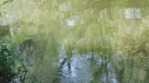 Валерий Сёмин и Марина Селиванова - _Любовь моя_ (клип, 2016).mp4