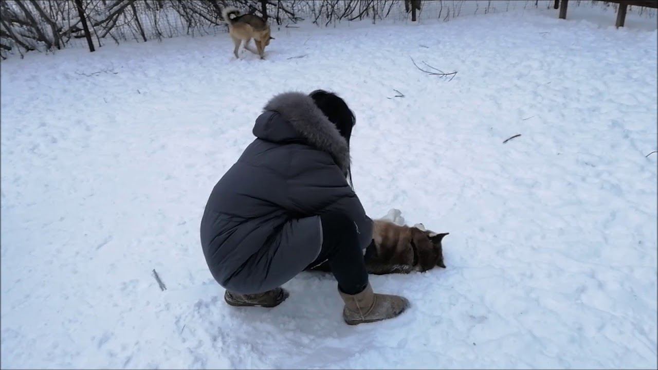 Программа международного обмена. День Первый. смотреть онлайн