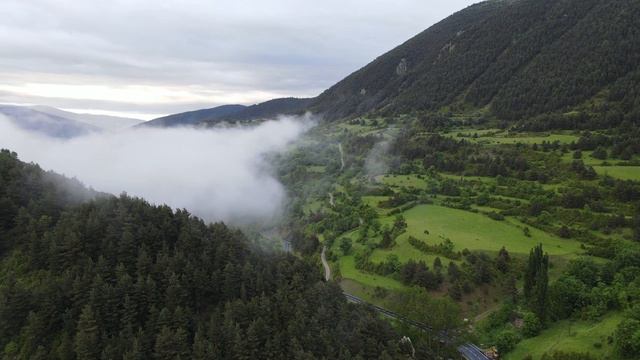 1108224_1080p_Pines_1280x720