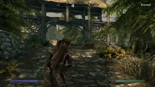 Skyrim: Big Cat, Little Town