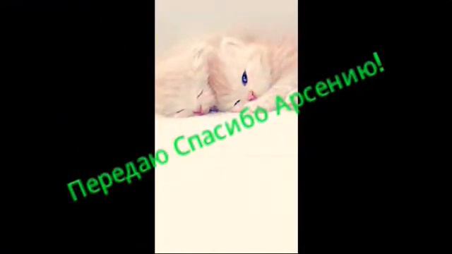 Завтра будет 2 часть пряток онлайн!! смотреть онлайн