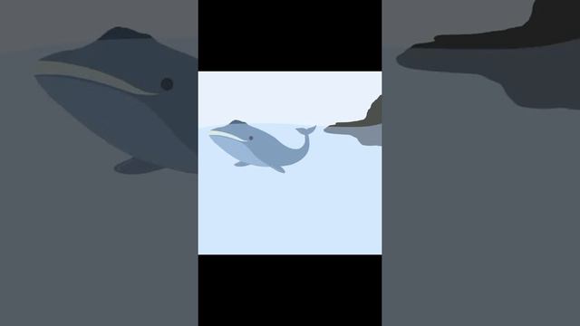 how to draw a whale - time lapse смотреть онлайн