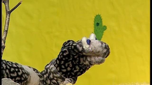 Кот Финик в гостях у обезьянки. Украинский кукольный мультик смотреть онлайн