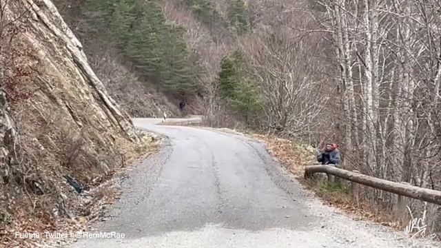 Test Ford Puma Rally1 2023 | WRC Pictures смотреть онлайн