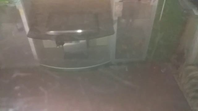 Новинка в ассортименте!Что?.?.?Новый товар!! смотреть онлайн