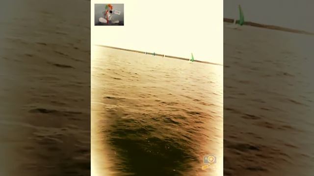 16 августа 2017 г. смотреть онлайн