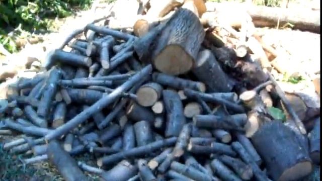 MARTIN CORONADO смотреть онлайн