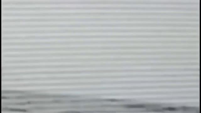 Топ 2 динозавра снятих на камеру + видео с яйцом динозавра