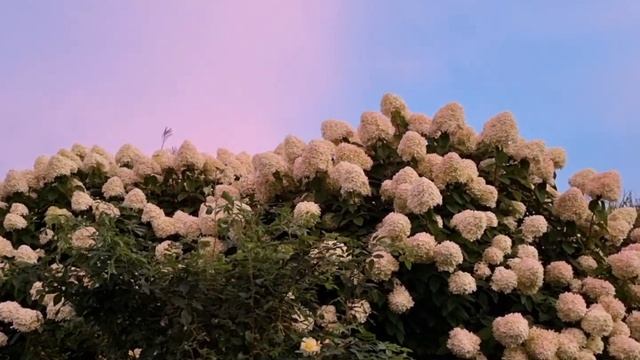 Молитва об усопшей матери