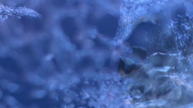 H2O: Just Add Water - Behind the scenes: Moonpool смотреть онлайн