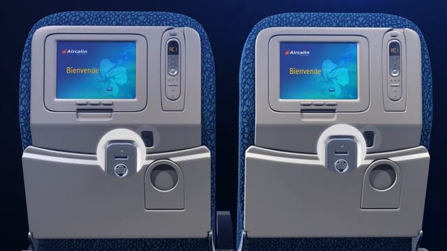 Enjoy your In-flight IFE смотреть онлайн