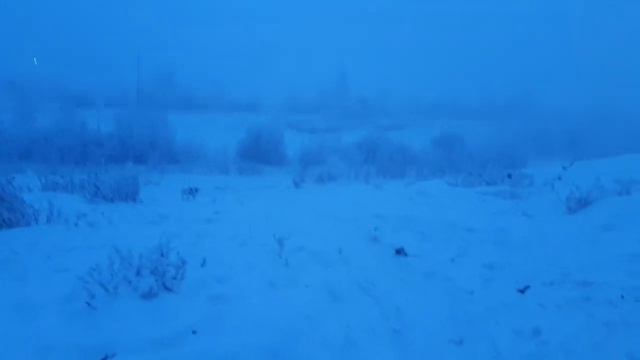 VLOG 213 УТРО ( ВЕРНЕЕ ДЕНЬ) 1- января 😊 смотреть онлайн