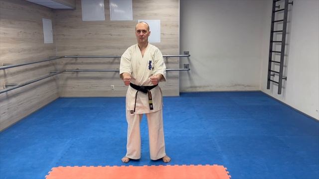 КАТА ПИНАН ИЧИ - KATA PINAN ICHI (Бункай/Bunkai) смотреть онлайн