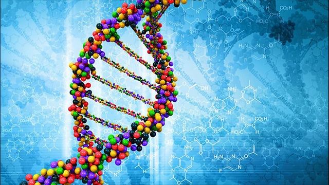 Медитация - Первая активация ДНК или активация хромосом молодости и жизнеспособности.
