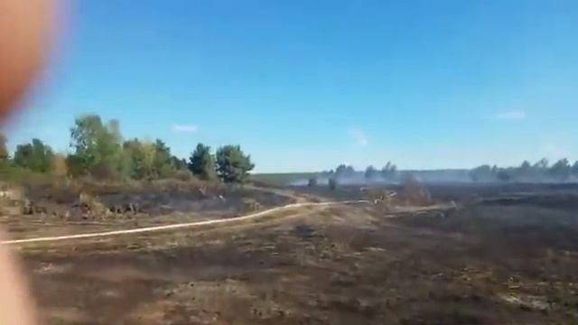 Торфяной пожар в Клепиковском районе смотреть онлайн