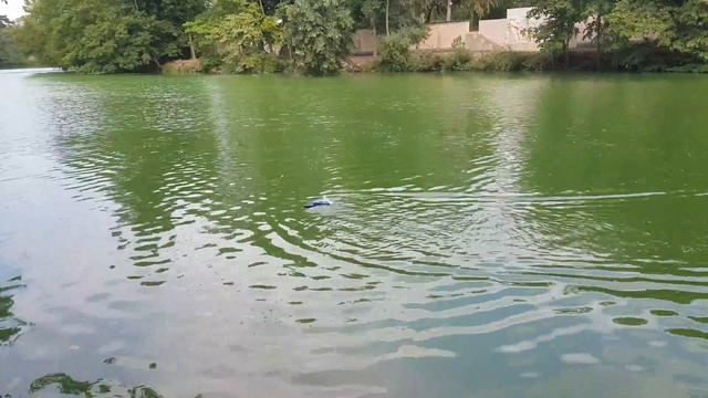 BATEAU RC SKYTECH H100 VITESSE FOLLE !!! смотреть онлайн