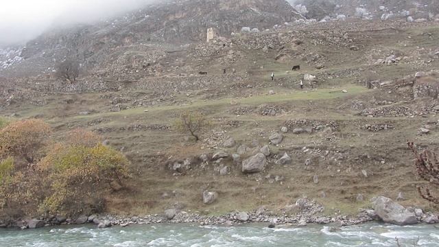 MVI_8145 смотреть онлайн