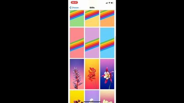 IPhone 11 All Stock Wallpapers